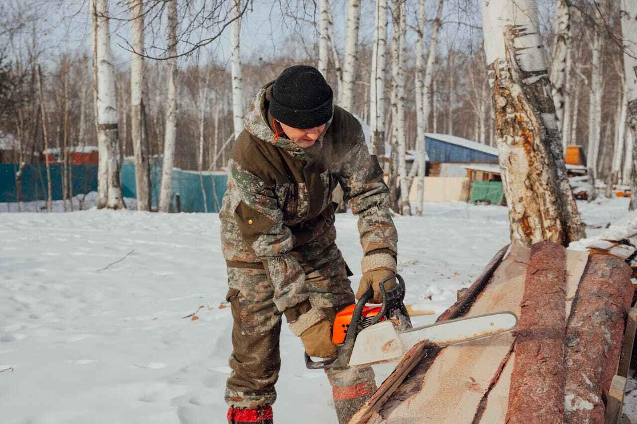 Dead Tree Removal in Rogersville, MO